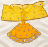 Mata Rani Yellow Lehenga Choli – Designer Festive Poshak